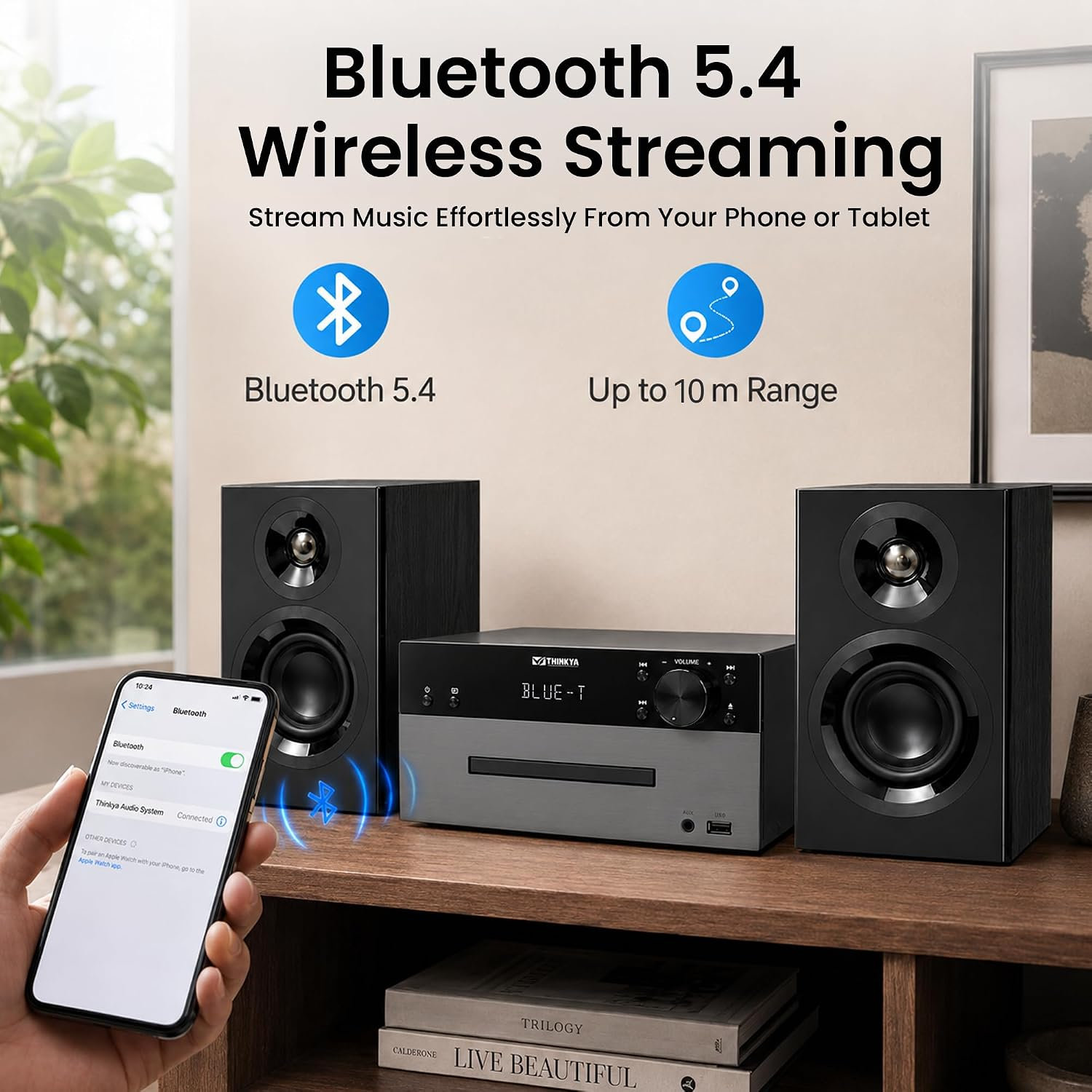 THINKYA DM-999 100W Home Stereo System